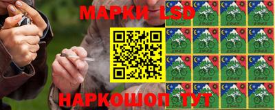 стаф Сланцы