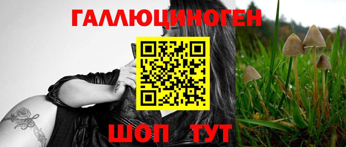 Пыть-Ях  Псилоцибиновые грибы Magic Shrooms  Вход с VPN 