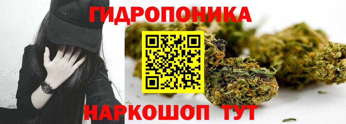 Конопля White Widow Пыть-Ях